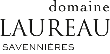 Logo home domaine Laureau